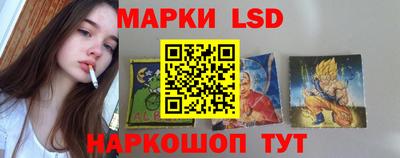 спиды Дубна