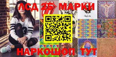 крисы Абакан