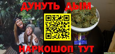 крисы Абакан