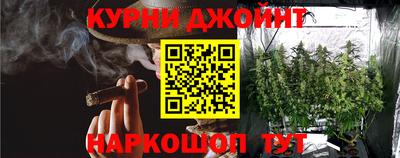 крисы Абакан