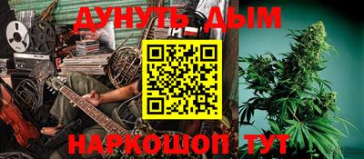 спиды Дубна