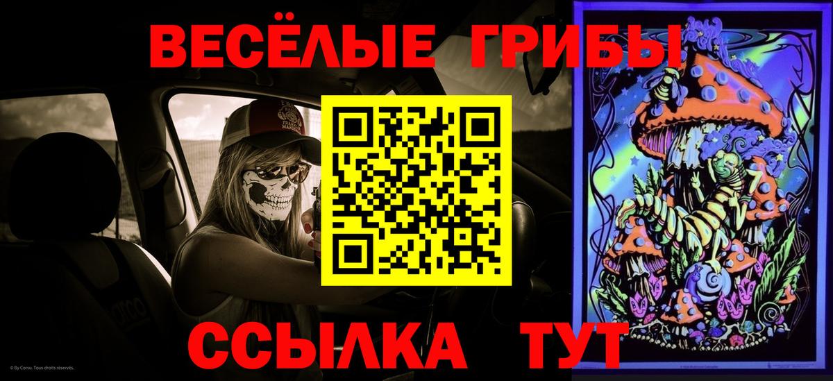 Галлюциногенные грибы GOLDEN TEACHER Луга